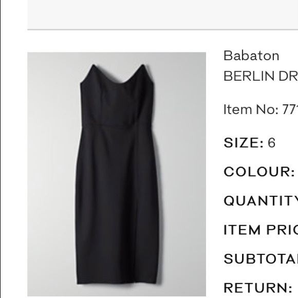 Babaton Berlin dress - Picture 2 of 2